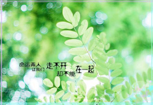 老公买了一个衣柜后,我离婚了免费阅读何晓阳孟月小说第1章