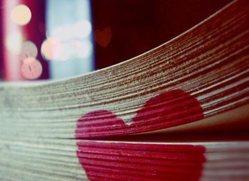 宋棠沈之鹤免费全文 宋棠沈之鹤小说在线阅读