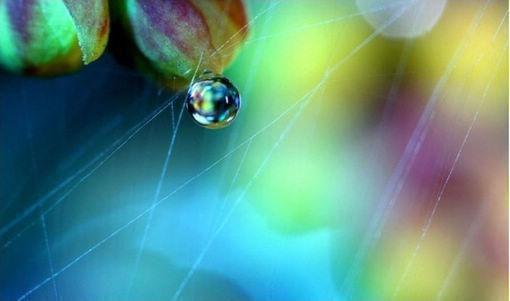 安夏儿陆白的小说 财阀小娇妻:大叔,乖乖宠我!小说免费阅读