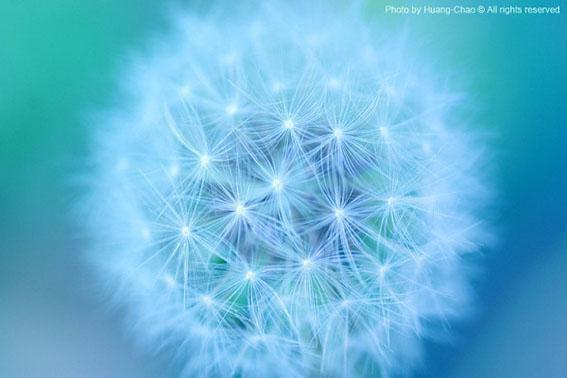 念念臣屿小说阅读 念念臣屿全文免费无广告