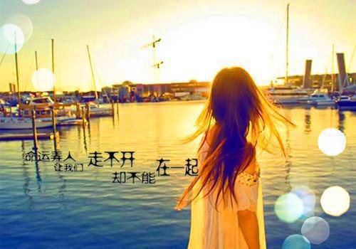 苏晚卿顾砚深小说 苏晚卿顾砚深免费章节阅读