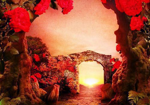 林馥陆斯年完整未删减版在线阅读 林馥陆斯年结局