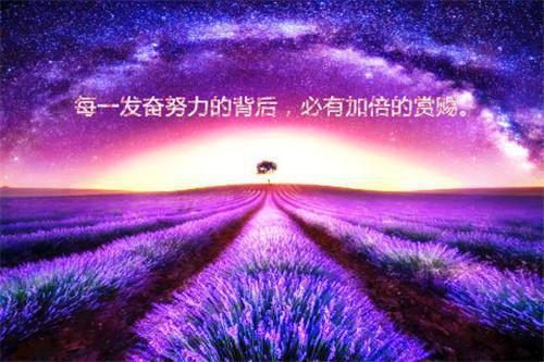 李隨泱秦昭意小说最新章节 李隨泱秦昭意免费阅读