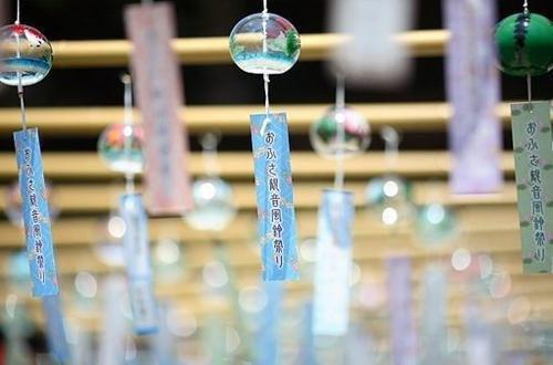 陆江敛沈念沈媛媛沈念全文免费大结局 陆江敛沈念沈媛媛沈念小说在线阅读