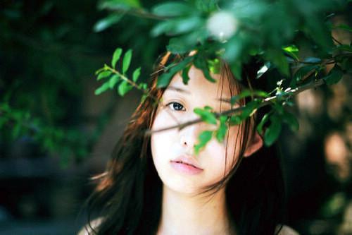 《许星若商御景乔晚樱小说》无弹窗全文免费阅读