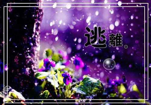 柳明微裴司鹤徐清窈小说 柳明微裴司鹤徐清窈全文免费阅读