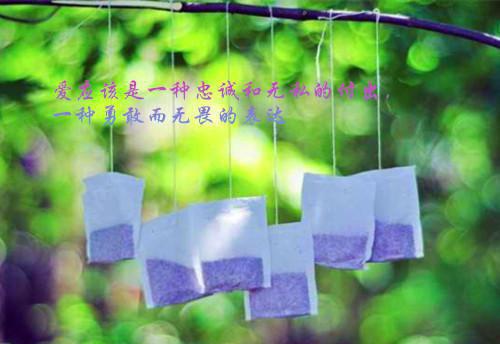 林霄苏小怜小说免费阅读最新 金牌销售的修仙之路完整版