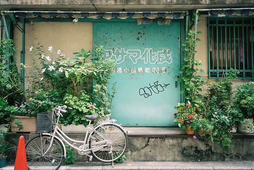 许棠周砚寒小说目录 许棠周砚寒完整免费版阅读