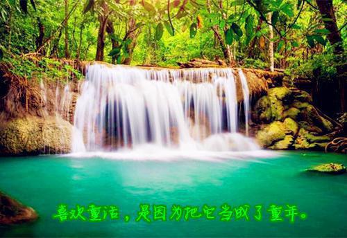 王硕陈默全文免费大结局 王硕陈默小说在线阅读