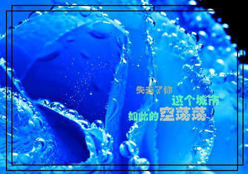 大律师你往前走,不需要回头小说 大律师你往前走,不需要回头流浪的鸬鹚