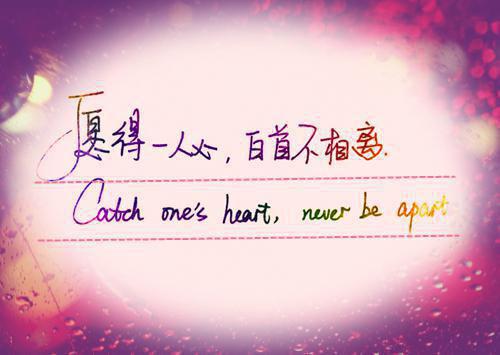 (抖音小说)陈馨何晖小说全文阅读免费