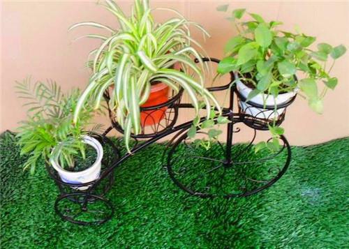 (抖音小说)沈绍元苏清简免费阅读第1章