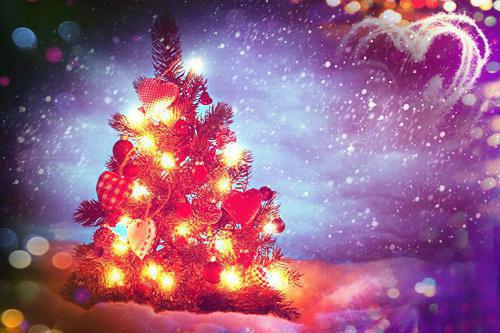 宋思婉叶修实免费阅读第10章 宋思婉叶修实大结局