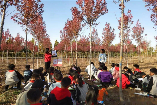 安顺市私立小学排名榜 安顺市西兴小学上榜第一培养特长