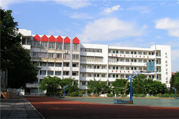 昭通市公立小学排名榜 楼坝镇水河中心小学上榜