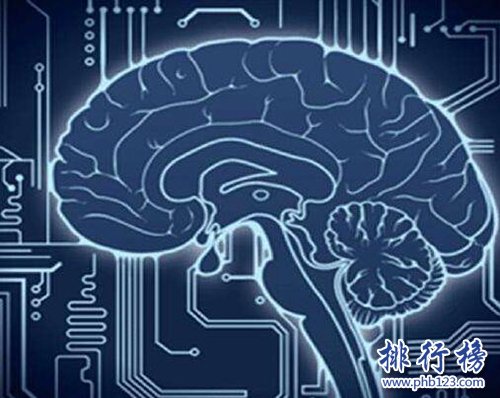 世界上公认最难的十大学科排名，数学在列