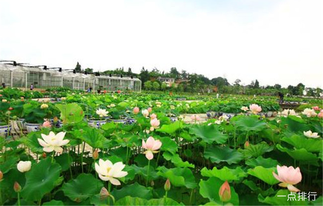 南充十大旅游景点排名 南充有什么好玩的景点推荐