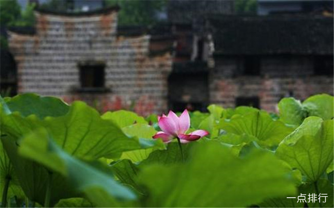 郴州十大旅游景点排行榜 郴州最好玩的景点排名