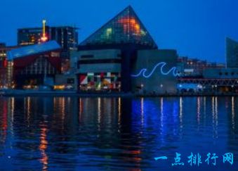 世界最大的水族馆排行前十名  上海海洋水族馆排倒三