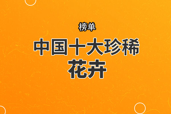 中国十大珍稀花卉 丹霞梧桐上榜，第一被誉为“茶族皇后”