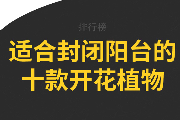 适合封闭阳台的十款开花植物，半边黄上榜，第七是中国传统名花之一