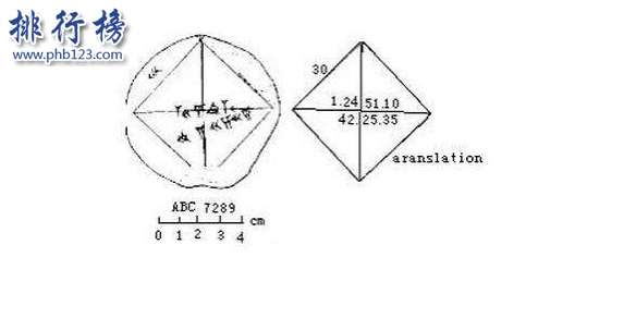 世界十大数学难题被悬赏一百万美元数学天才来挑战！