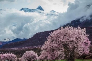 震撼人心的中国10大名山