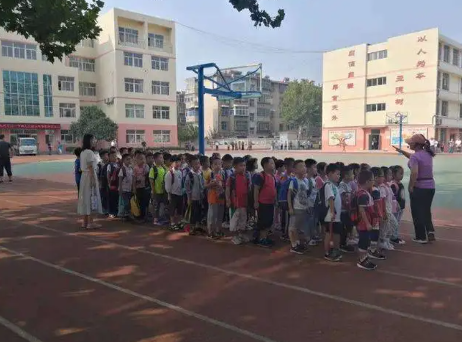 盘点泰安最新小学排行榜TOP.10，泰安小学十大排行榜