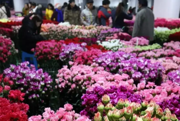 中国十大花木交易市场，昆明斗南花景区排在第一名