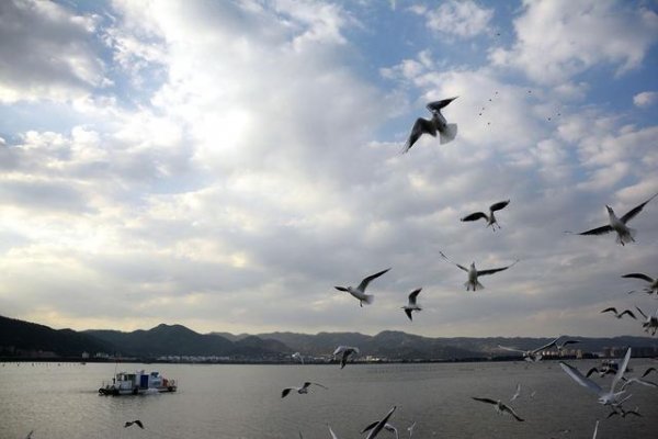 昆明十大拍照圣地，滇池和九乡景区上榜