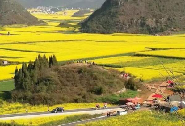 中国最美十处赏花圣地，婺源上榜，第四的赏花路线长