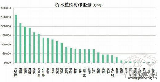 北京60种植物滞尘能力排行榜