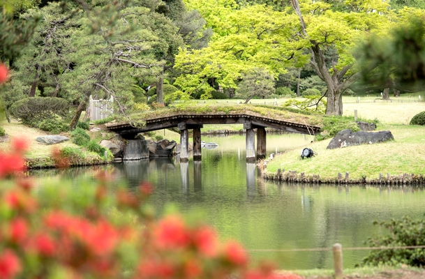 日本十大宜居城市：第四为文化教育区，白山市上榜