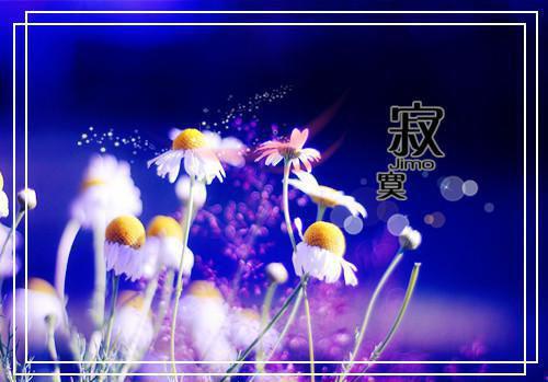 离婚后,她们全都想占有我无弹窗阅读 苏阳林慕瑶小说