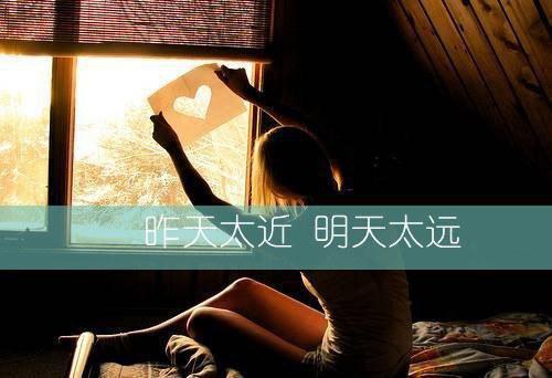 主角名是姜意晚裴聿全文免费阅读正版