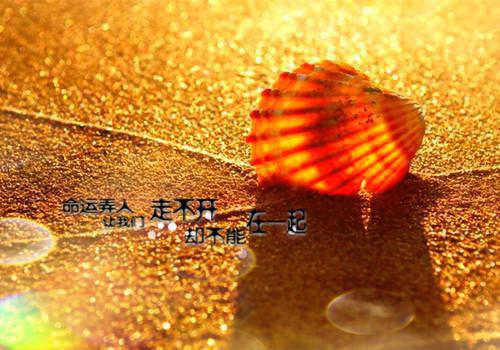 温云笙裴季川许书梨小说全文免费阅读 温云笙裴季川许书梨最新章节