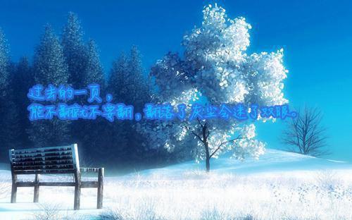 宁颜宁舒小说全文免费阅读 宁颜宁舒最新章节