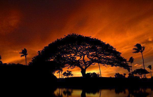 柏佳宁梁铭瑞最新章节 柏佳宁梁铭瑞在线阅读