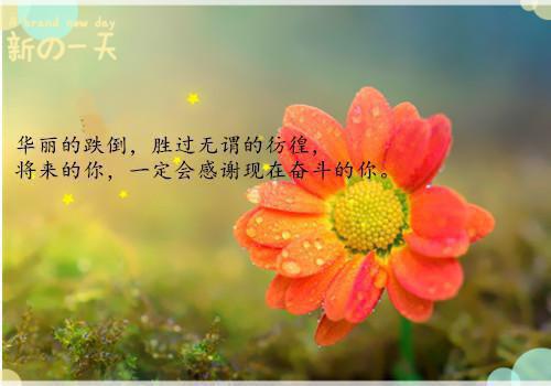 江雨眠霍斯聿免费小说 江雨眠霍斯聿全文阅读目录