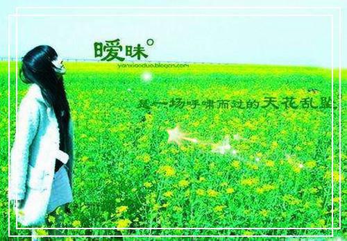 叶蓁蓁杜衡小说免费试读 叶蓁蓁杜衡第8章