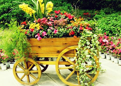 夏清霍野最新章节免费 夏清霍野第7章在线阅读