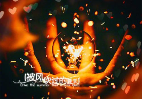 阮稚宁温崇衍免费阅读 阮稚宁温崇衍最新章节目录