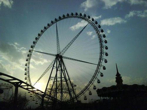 姜知赵元免费阅读无弹窗 姜知赵元最新章节