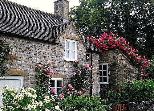 谢晚桥沈砚礼李婉宁的故事 执念蚀骨无归章节阅读