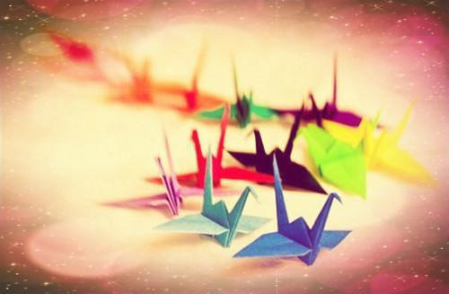 林清婳纪梵宸(侠名)小说最新章节