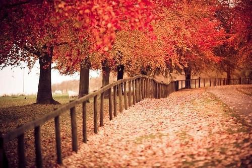 林莫尼林小雨最新篇章 我在阴间直播攒功德,吓哭阎王全本免费阅读