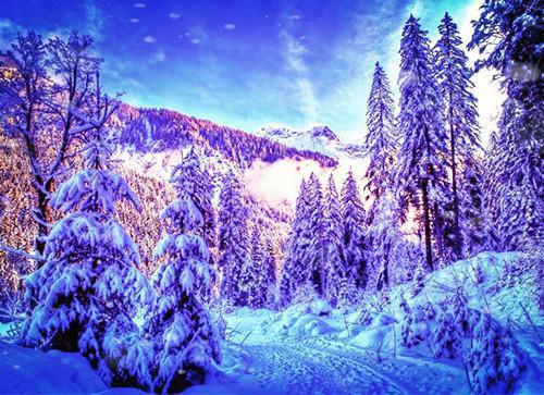 舒桐裴烬免费阅读第5章 舒桐裴烬大结局