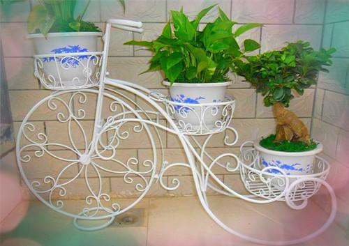 林骁苏倩小说全文 林骁苏倩小说免费阅读大结局