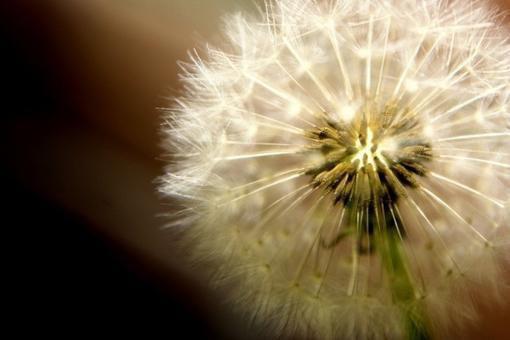 林予深靳屿小说最后结局 林予深靳屿完结版免费阅读