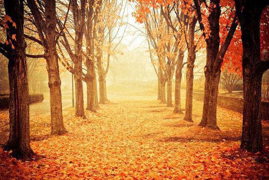 范三儿林正方是什么小说 平凡世界四牡业业